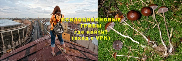 a pvp Армянск