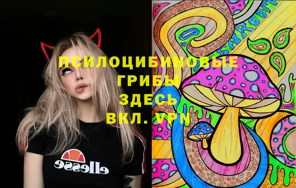 ECSTASY Аркадак